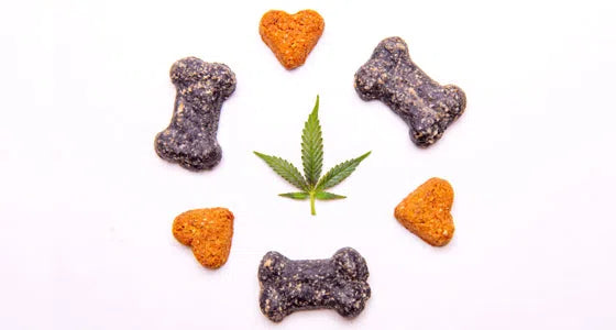 CBD pour animaux au centre de coeurs et os en croquettes