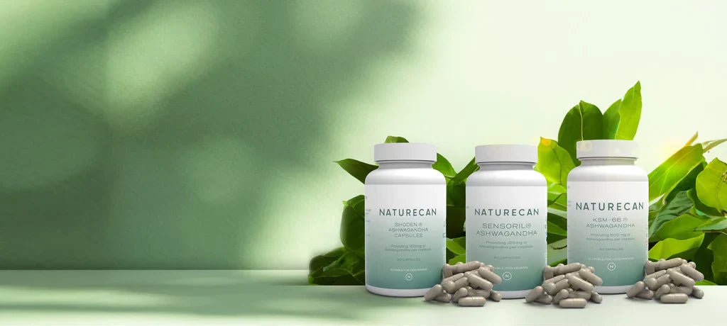 L'ashwagandha réduit-elle le cortisol ?