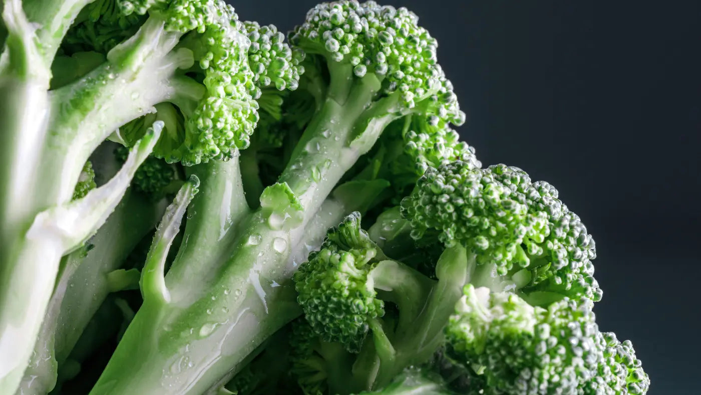 Bienfaits des pousses de brocoli : le sulforaphane est-il anti-âge?