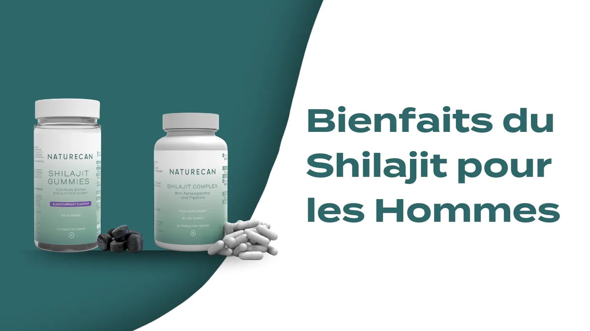 4 Bienfaits du shilajit pour les hommes