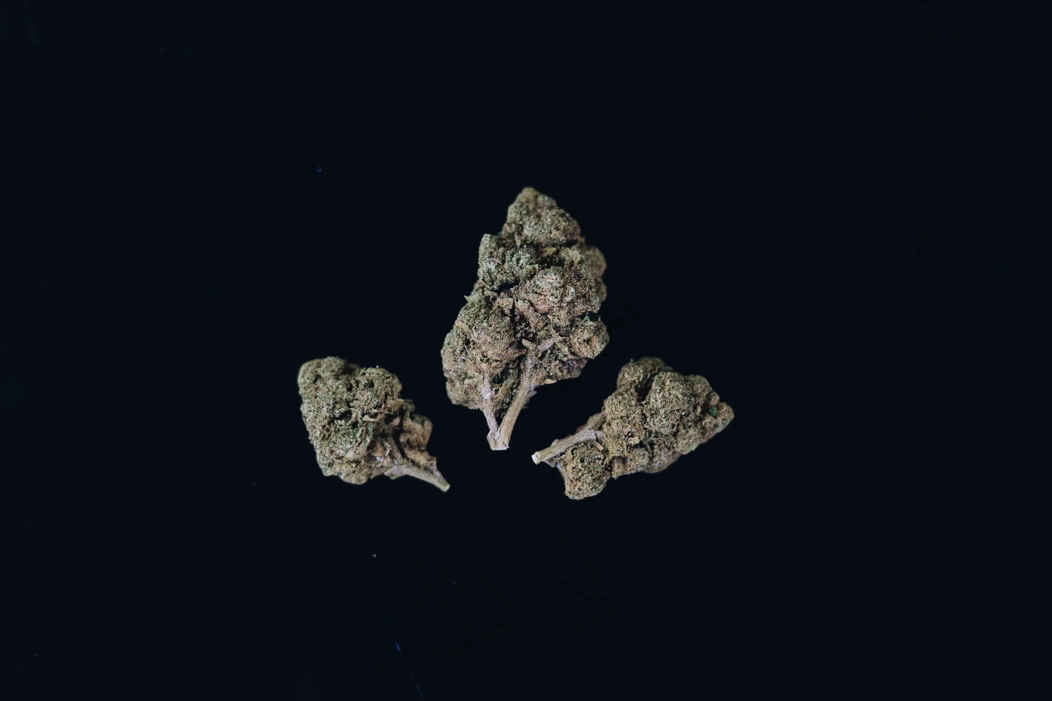 Indica ou Sativa