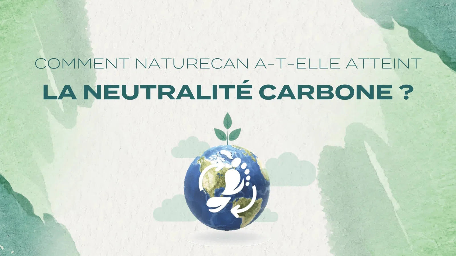 entreprise neutre en carbone