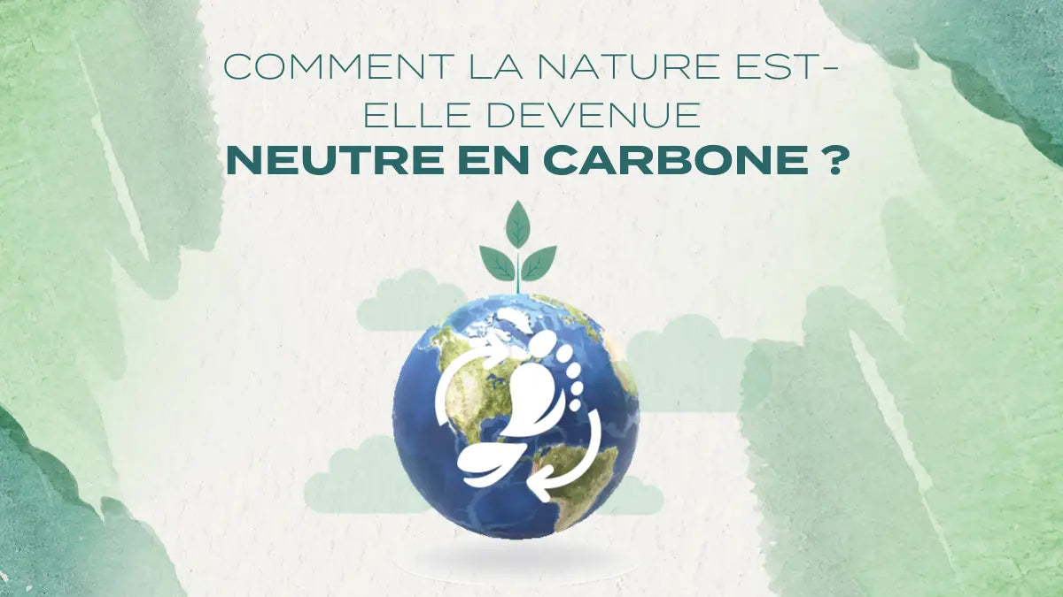 Comment Naturecan est-il devenu neutre en carbone ?