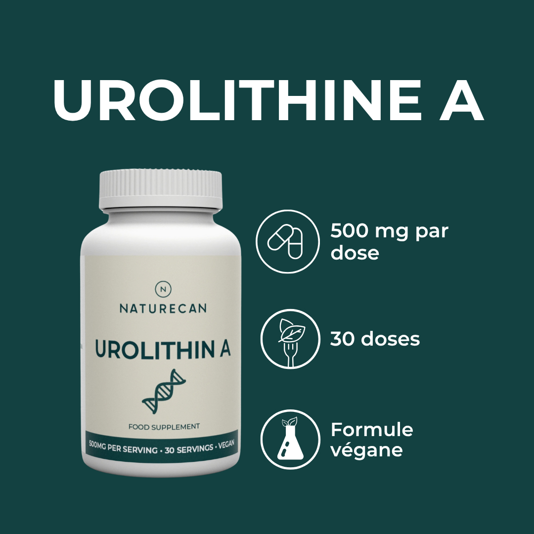 Urolithine A dosage