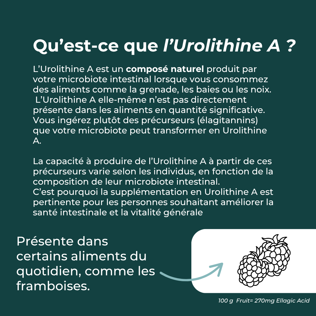 Urolithine A avantages
