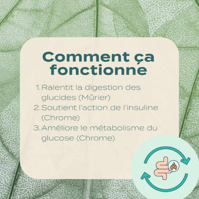 Gélules de Soutien du Glucose