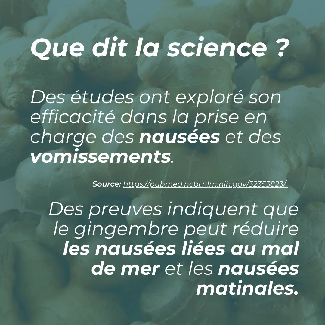 Supplément de gingembre biologique