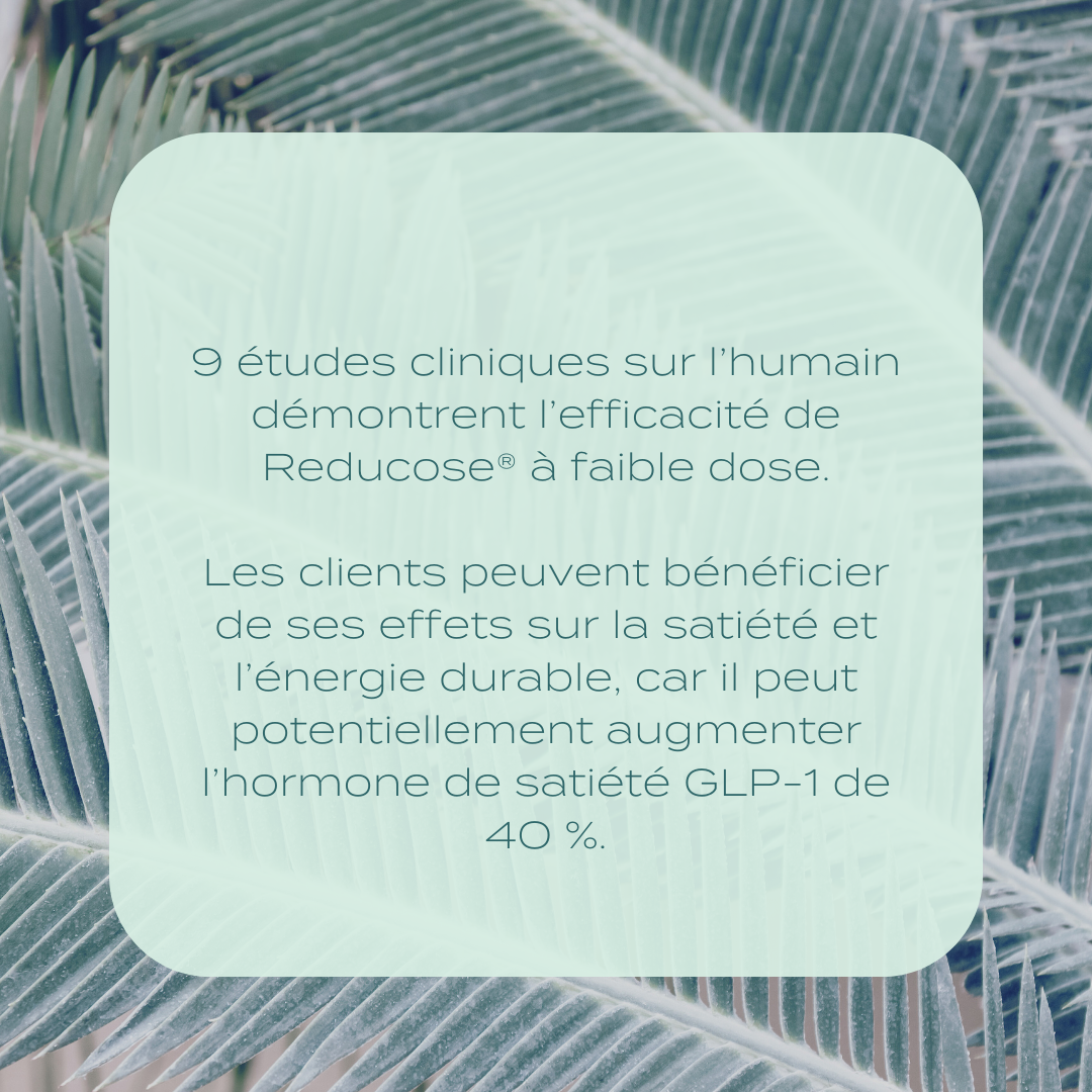Gélules de Soutien du Glucose