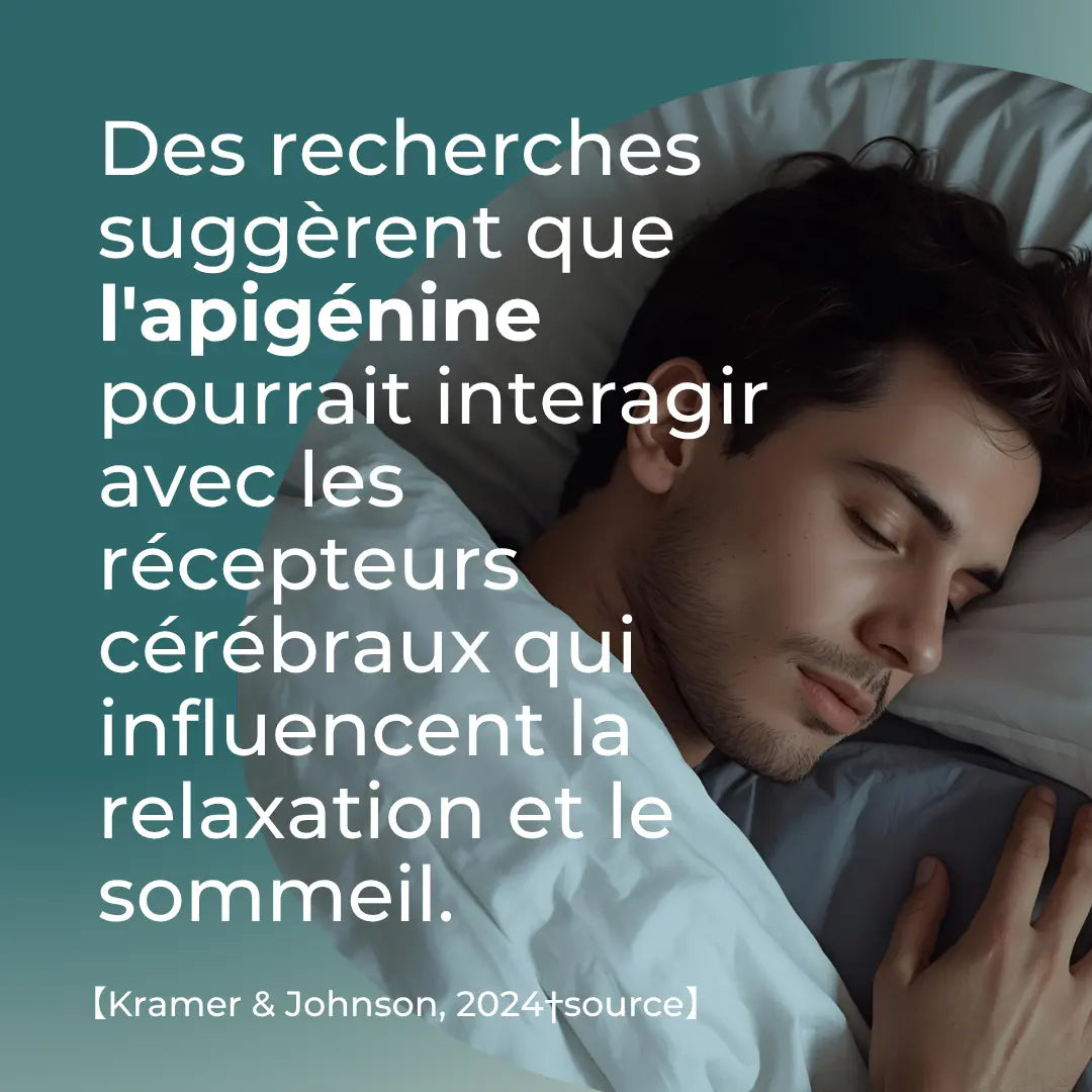 Capsules d’apigénine