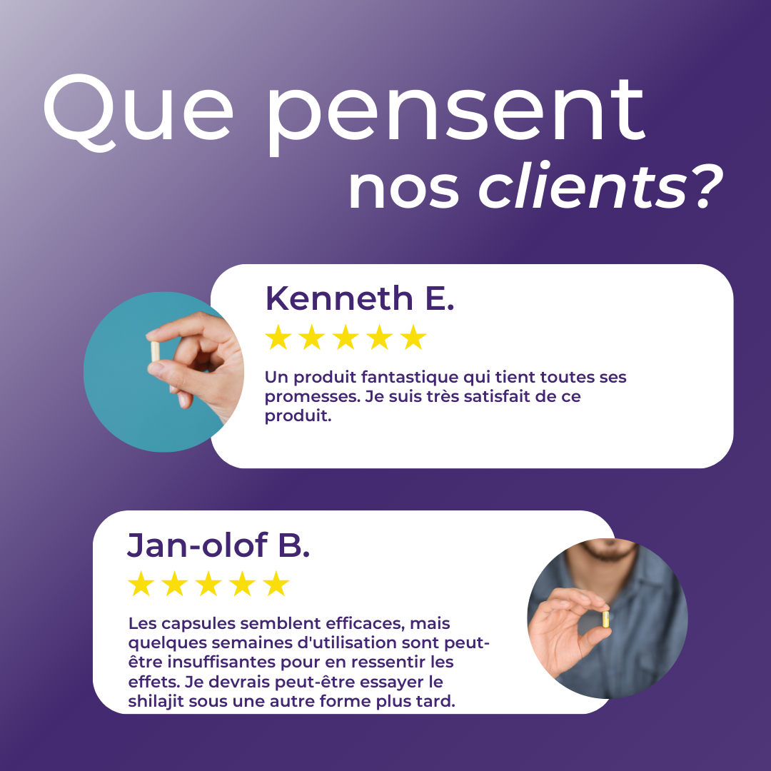 Avis clients