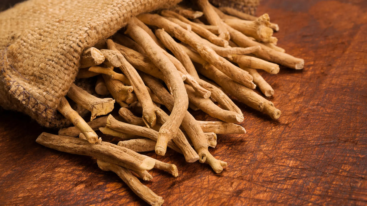Qu'est-ce que l'ashwagandha et quels sont ses effets secondaires ?