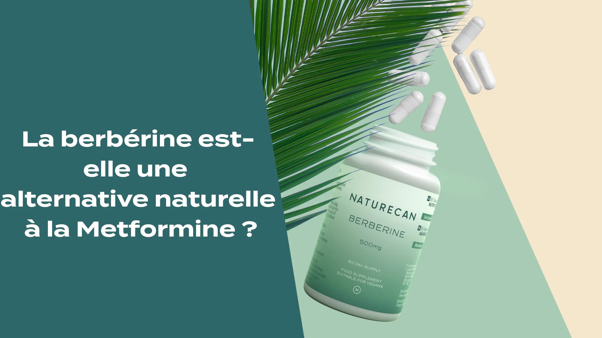 La berbérine est-elle une alternative naturelle à la metformine ?