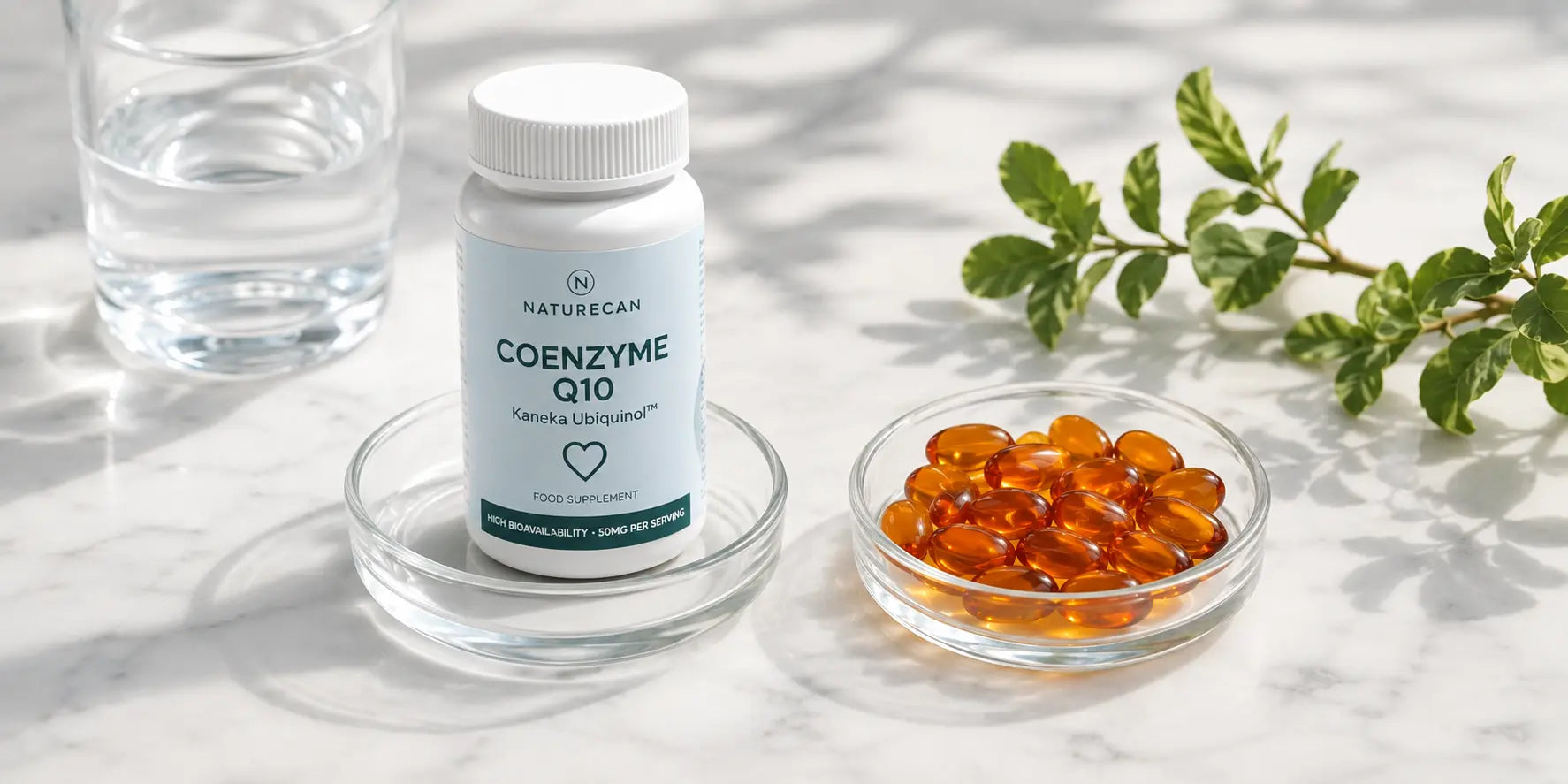 Ubiquinol vs CoQ10 : quelle est la différence et lequel choisir ?