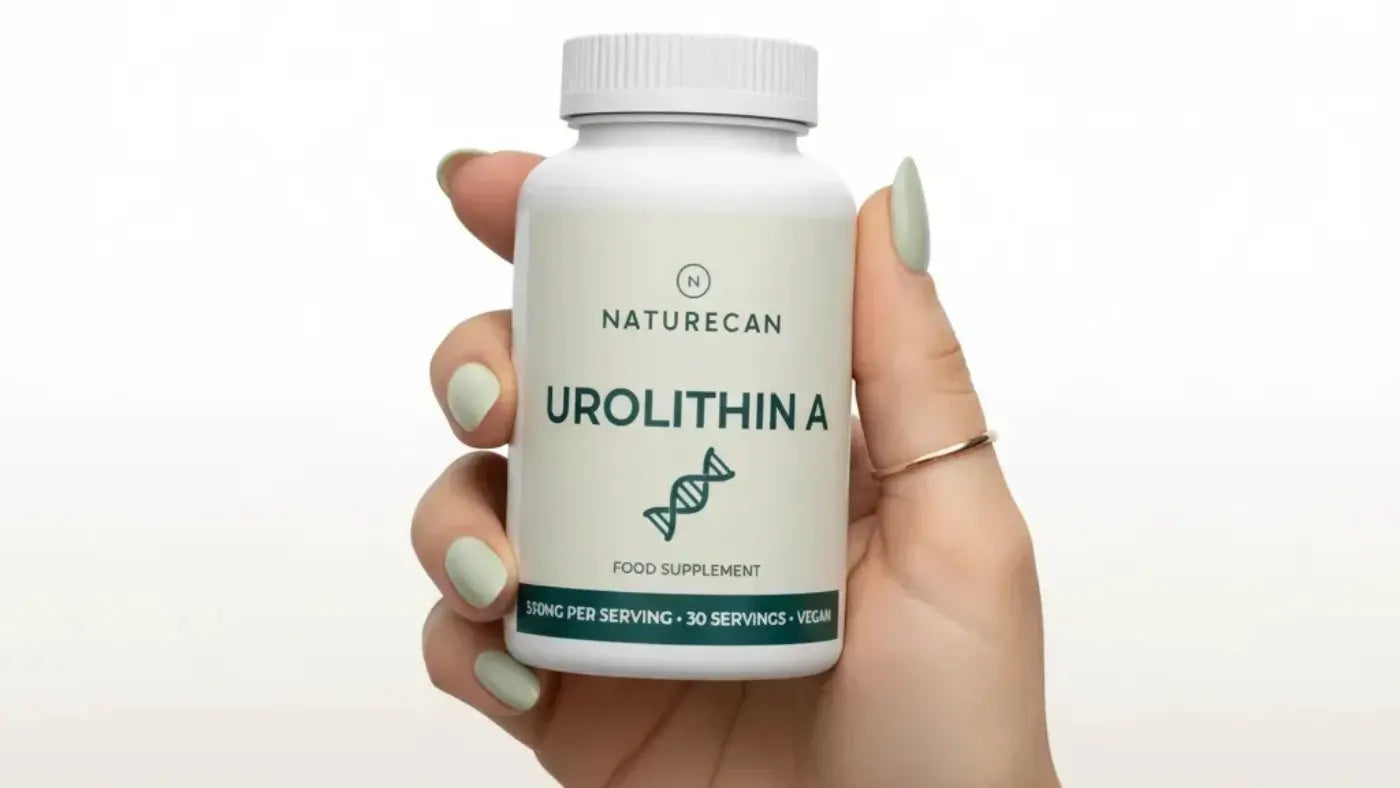 Qu'est-ce que l'Urolithine A ? Utilisations, consommation et sécurité