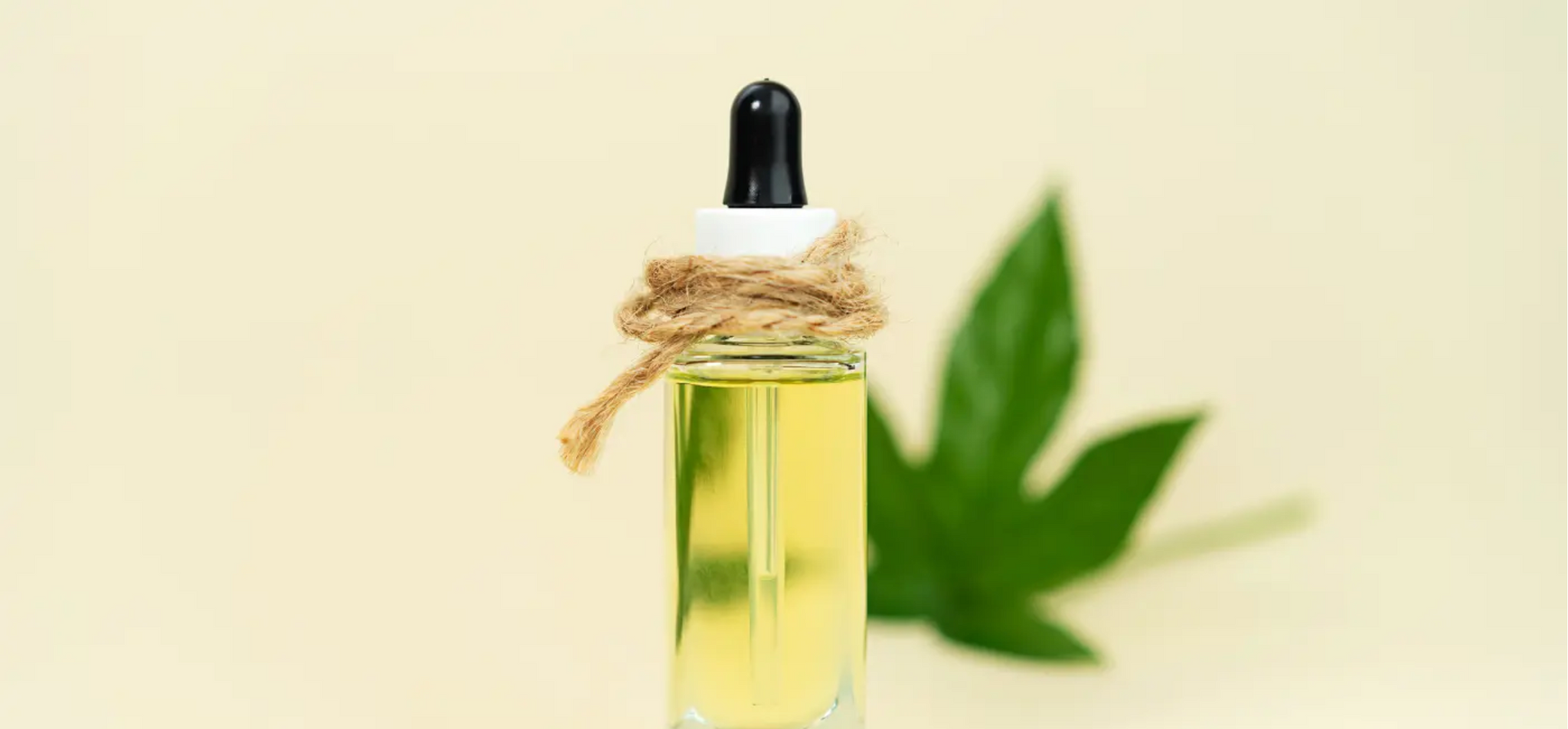 Qu'est-ce que l'huile de THC ? Découvrez tout ce qu'il faut savoir