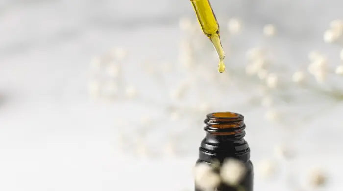 Comment extraire l'huile de CBD