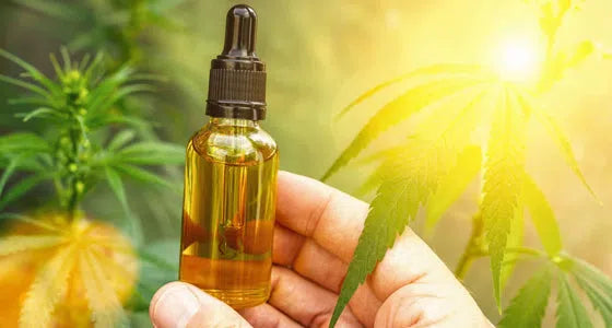 Pourquoi choisir le CBD de Naturecan ?