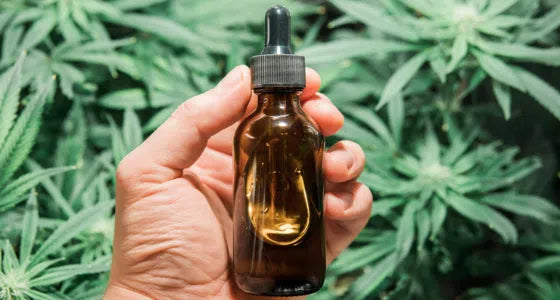 Comment prendre du CBD ?