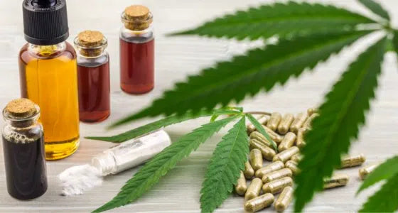 QUELLE EST LA DIFFÉRENCE ENTRE L'ISOLAT DE CBD ET LE DISTILLAT DE CBD ?