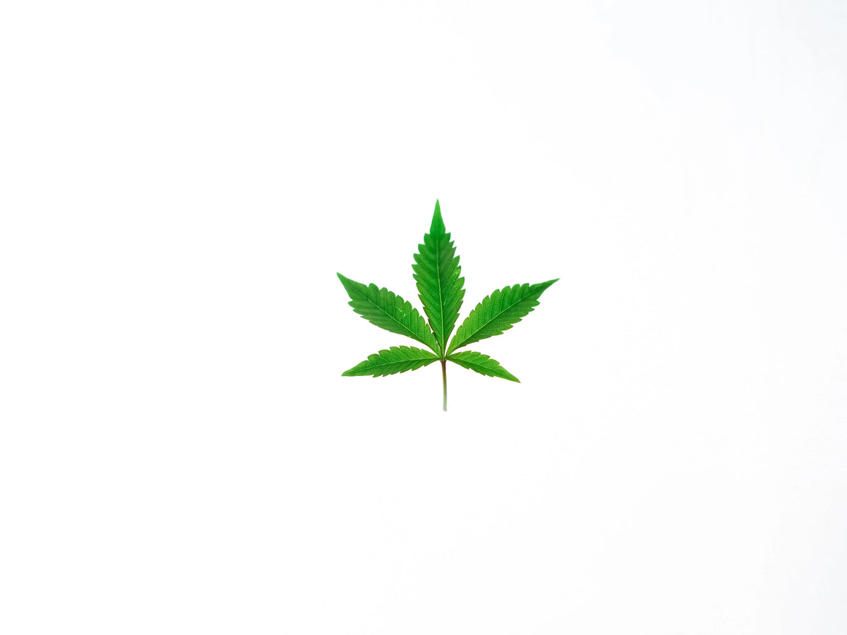  fleurs CBD