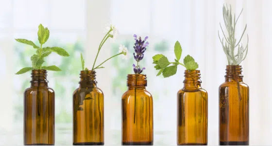 Les principes actifs expliqués