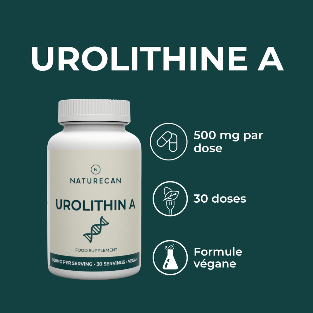 Urolithine A dosage