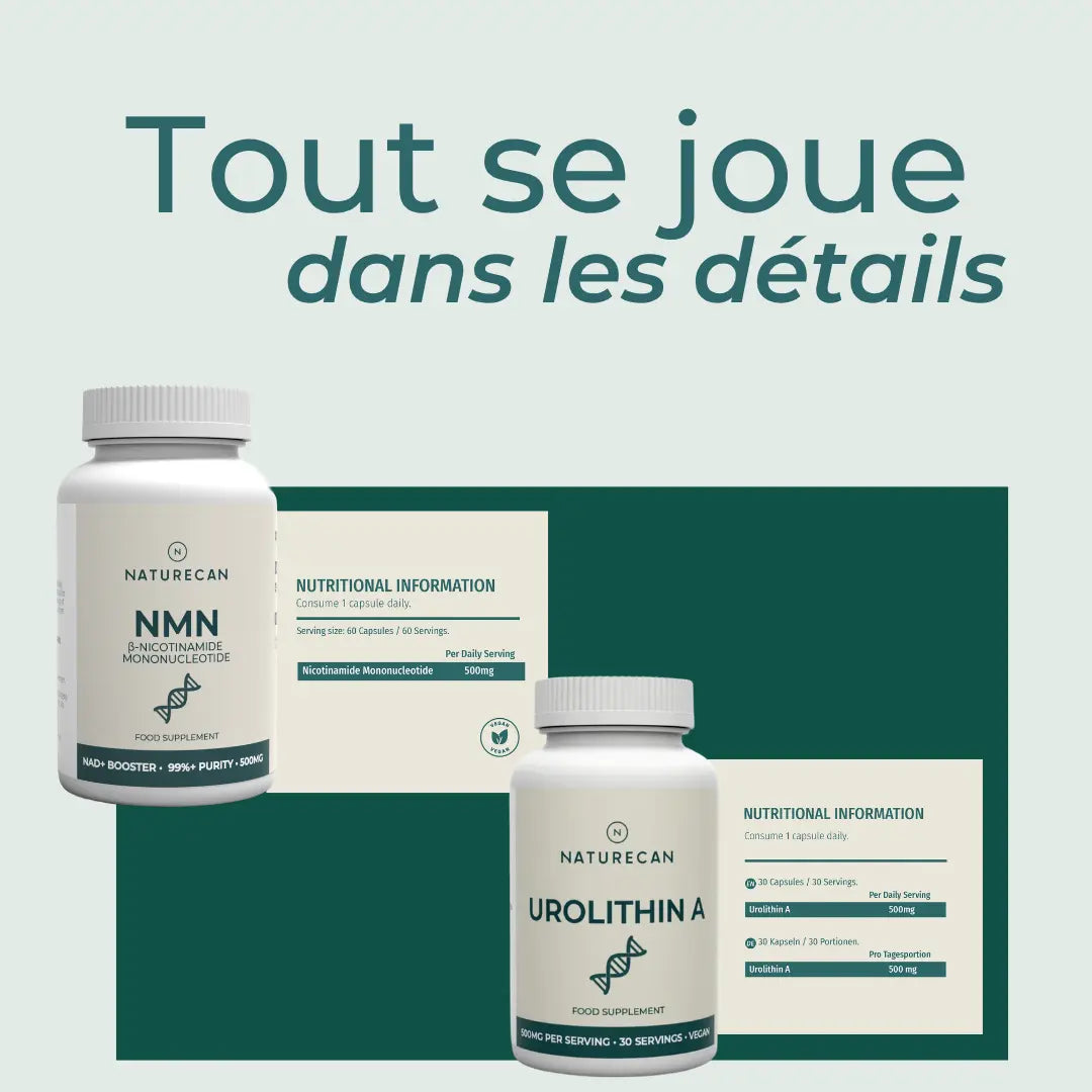 Coffret Compléments Mitochondriaux