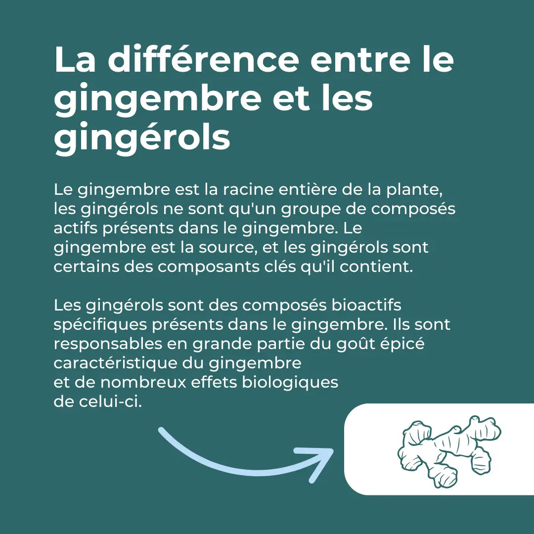 Supplément de gingembre biologique