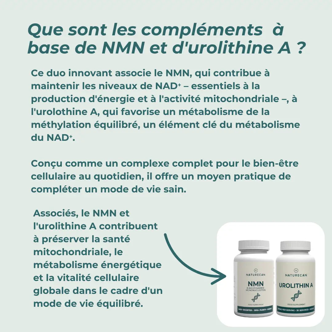 Coffret Compléments Mitochondriaux