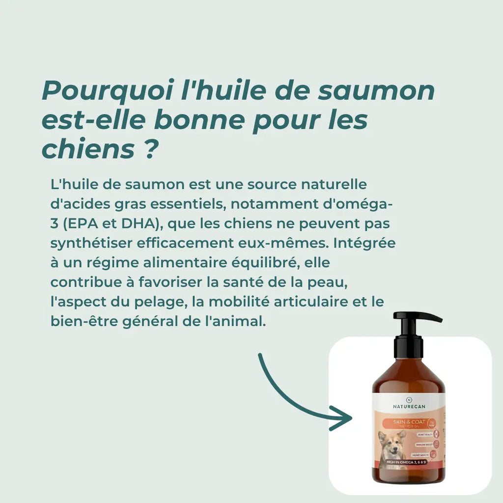 Huile de Saumon Pour Chiens