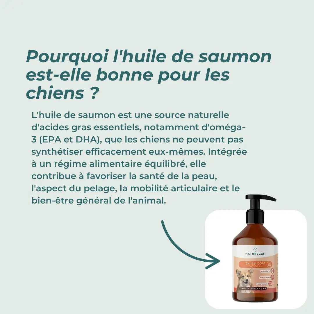 Huile de Saumon Pour Chiens