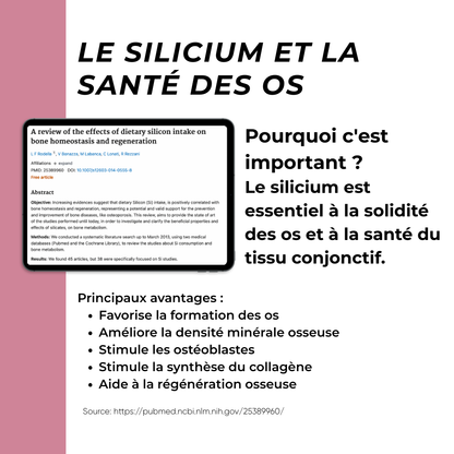 silice santé des os