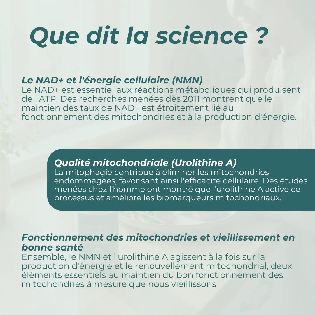 Coffret Compléments Mitochondriaux