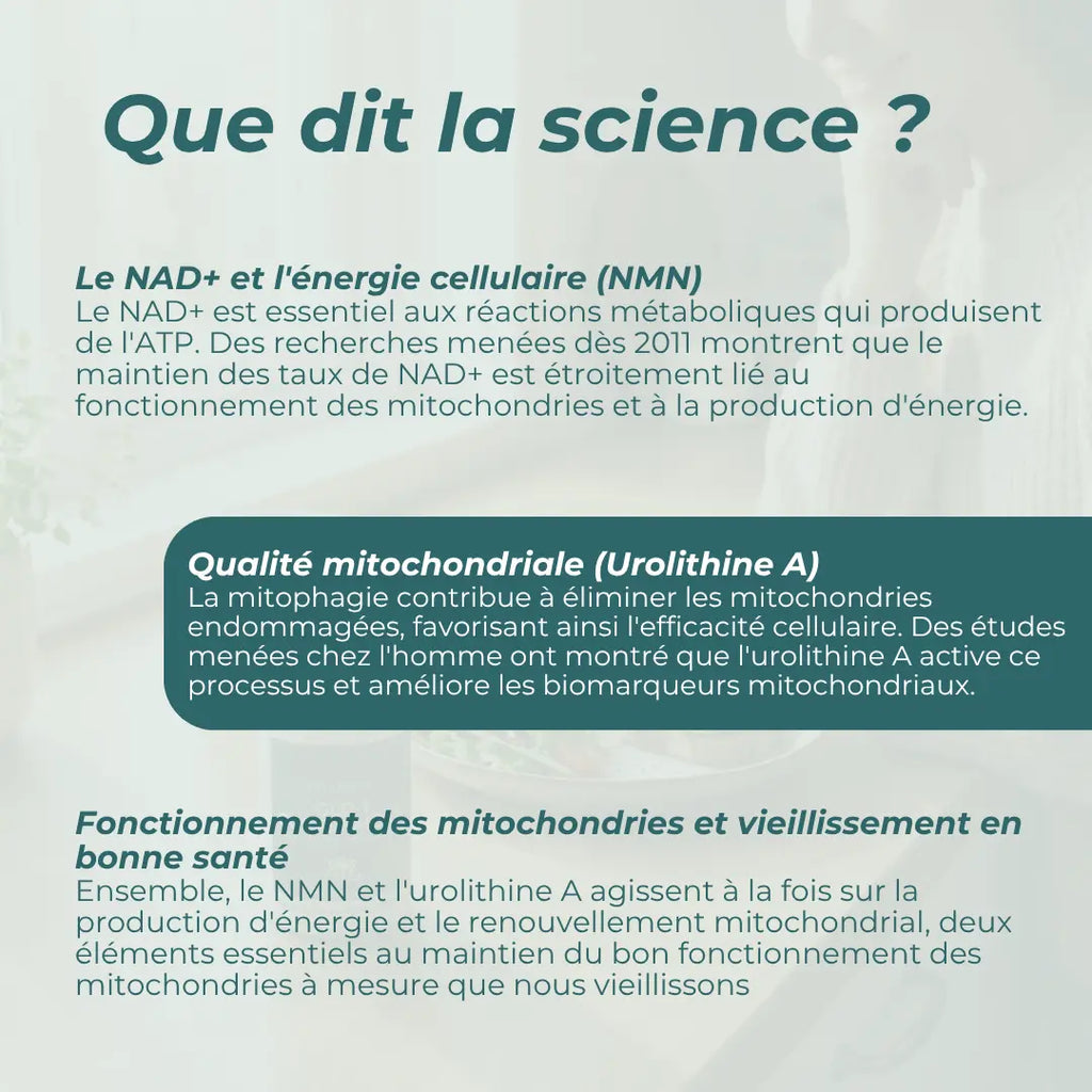 Coffret Compléments Mitochondriaux