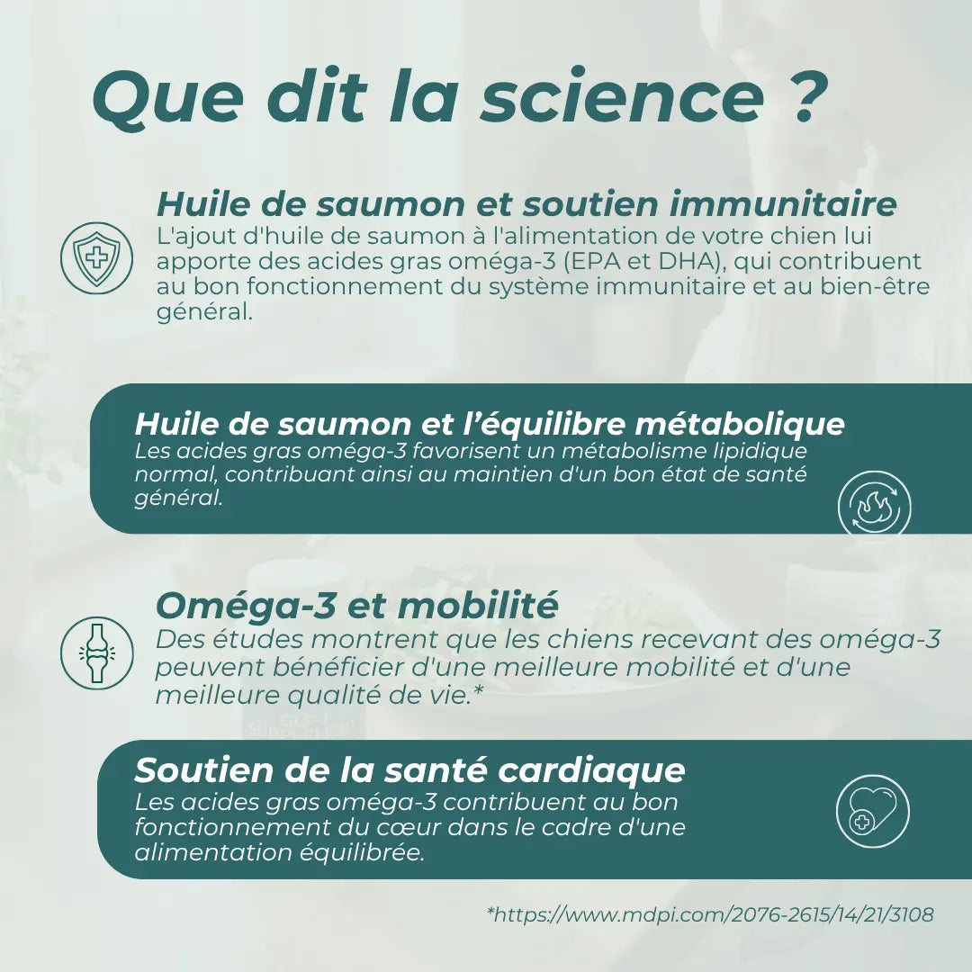 Huile de Saumon Pour Chiens