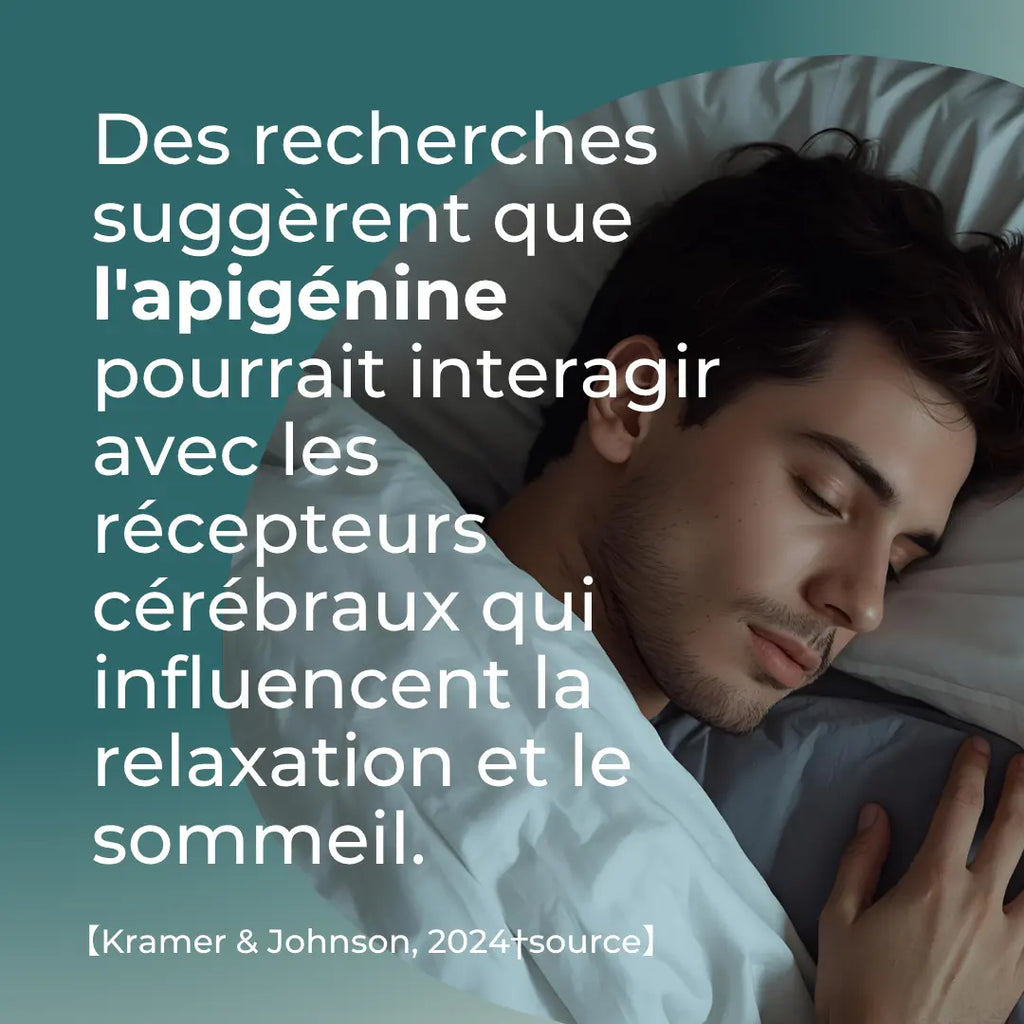 Capsules d’apigénine