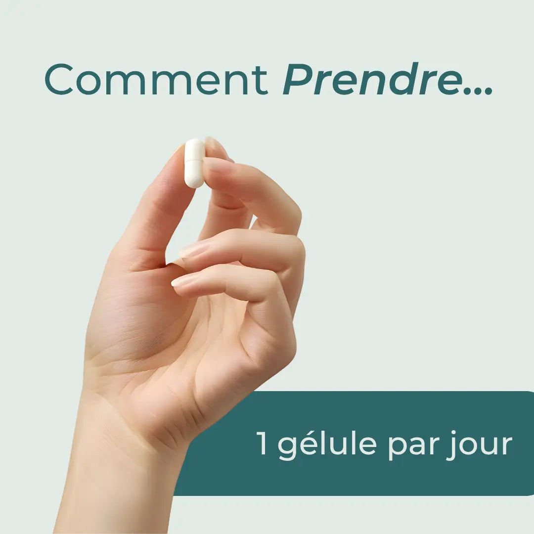 Coffret Compléments Mitochondriaux