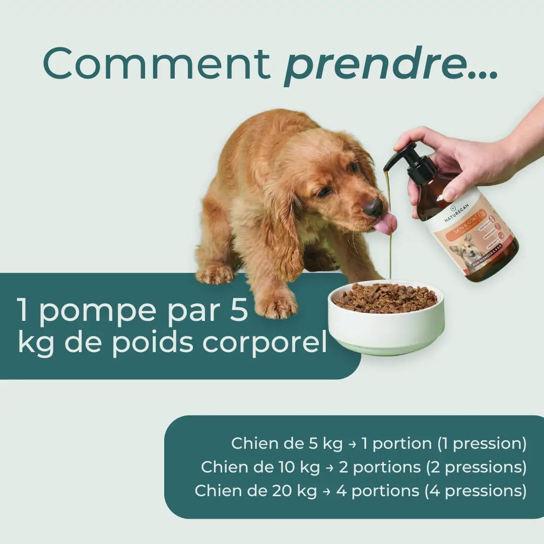 Huile de Saumon Pour Chiens