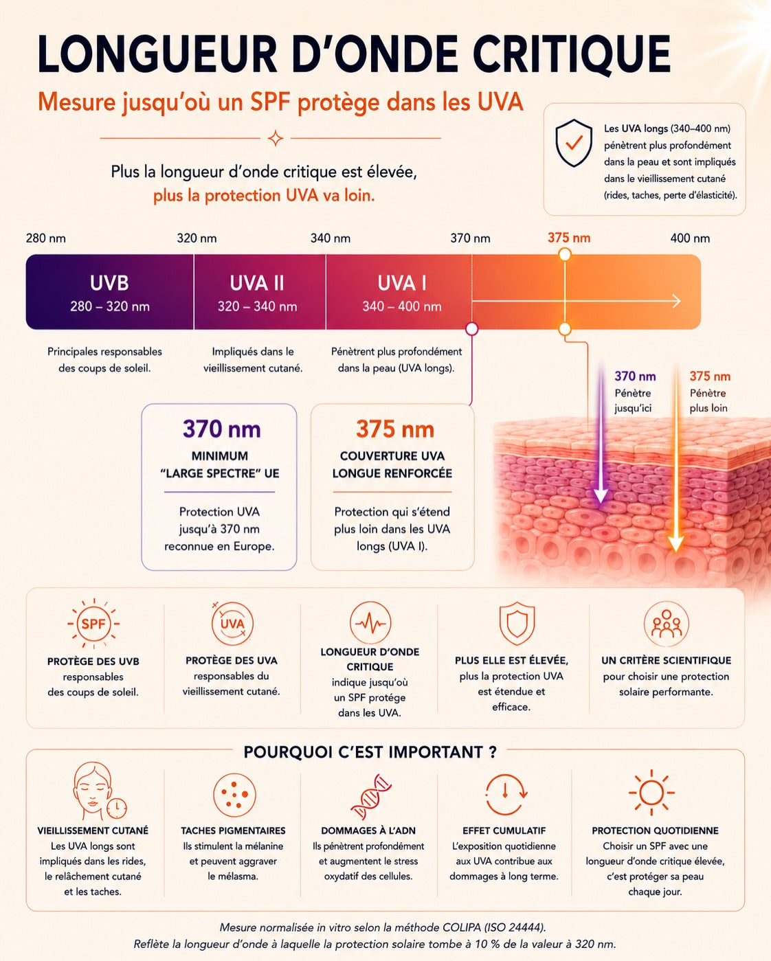 SPF 50+ C.O.D.A par Sonia Sélaire uva naturecan