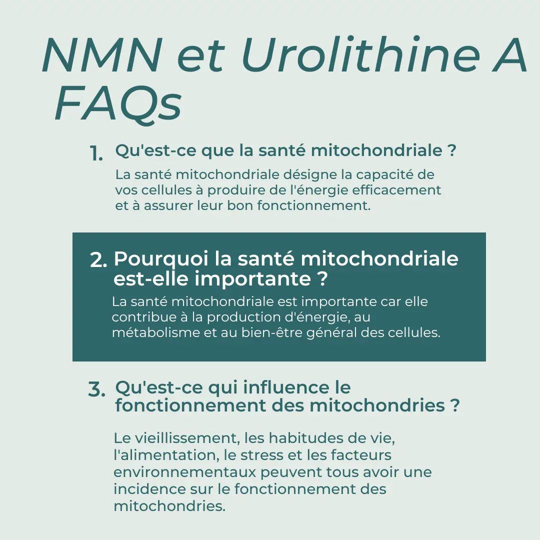 Coffret Compléments Mitochondriaux