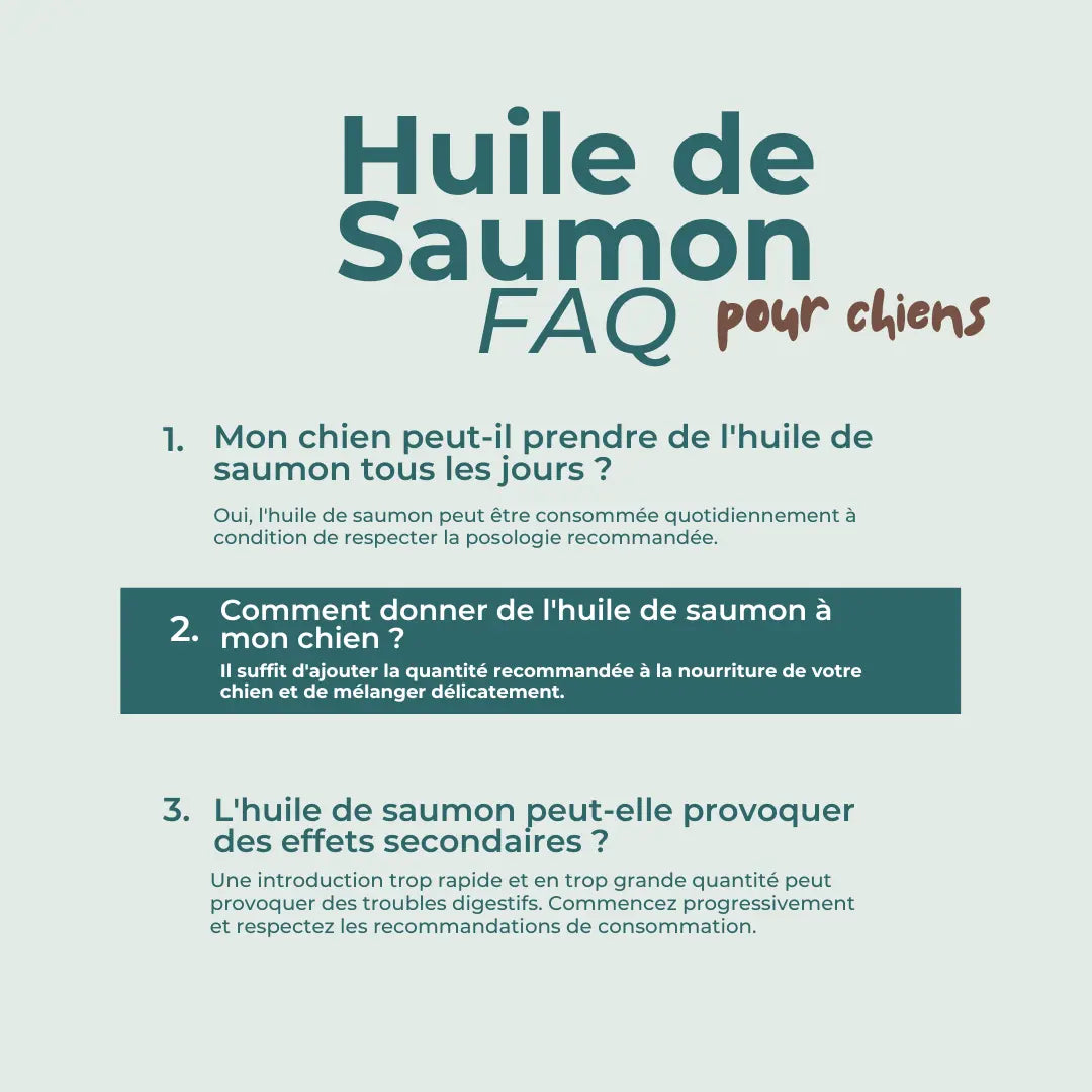 Huile de Saumon Pour Chiens