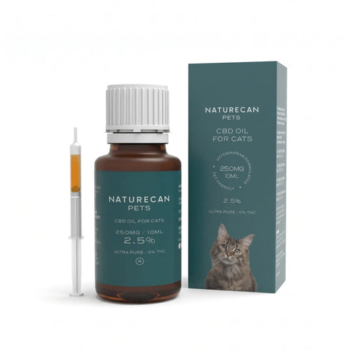 Huile de CBD pour chat