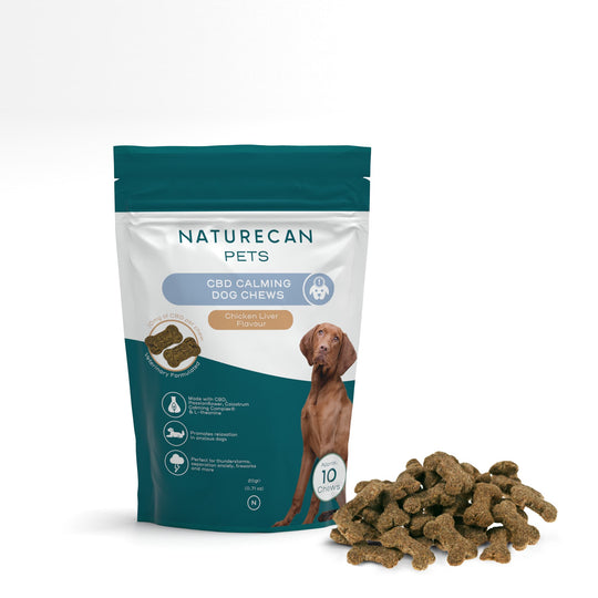 Friandises au CBD pour chien - calme & relaxation
