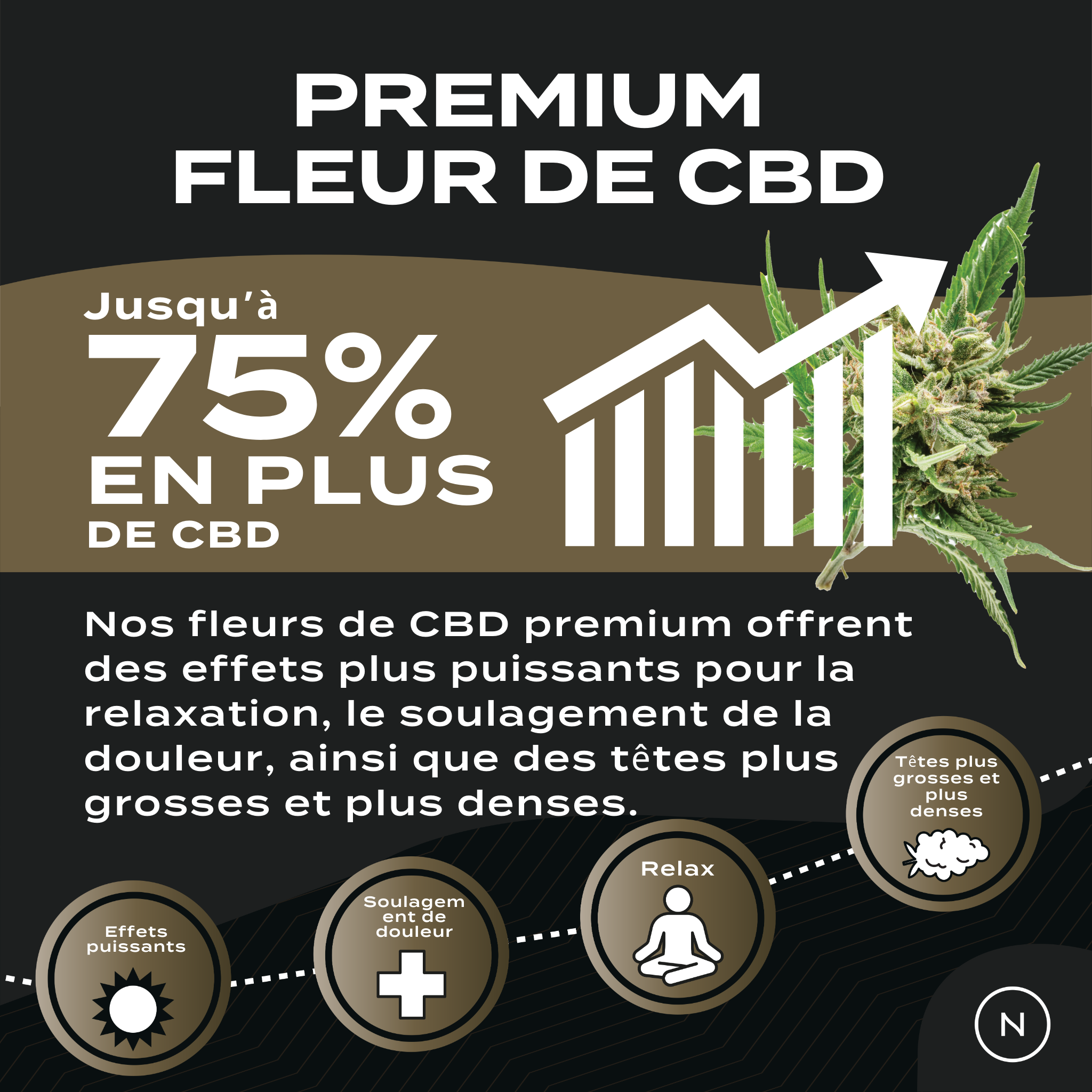 Fleur de CBD | Alien Fruit