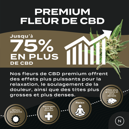 Fleur de CBD | Alien Fruit