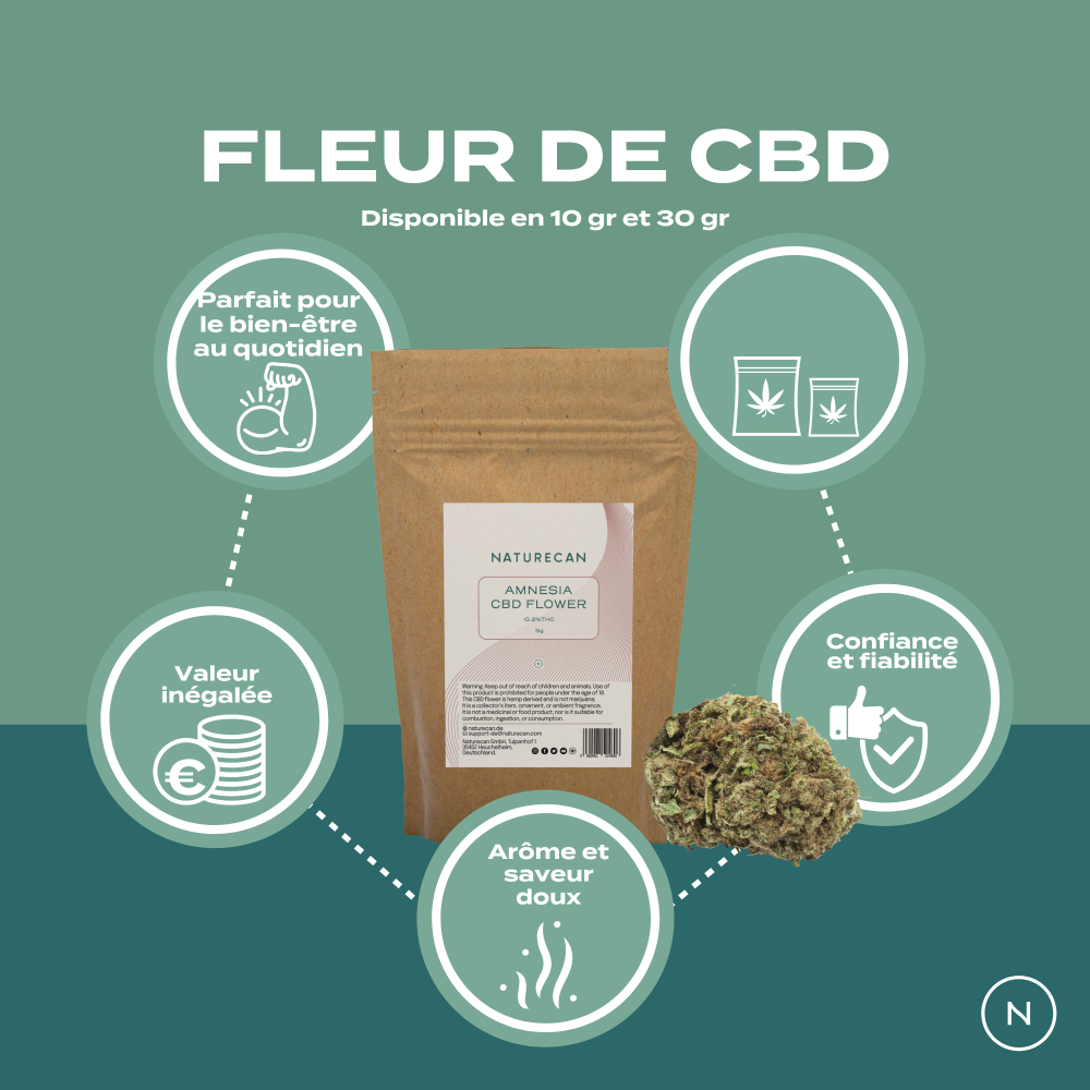 Fleur de CBD | Amnesia