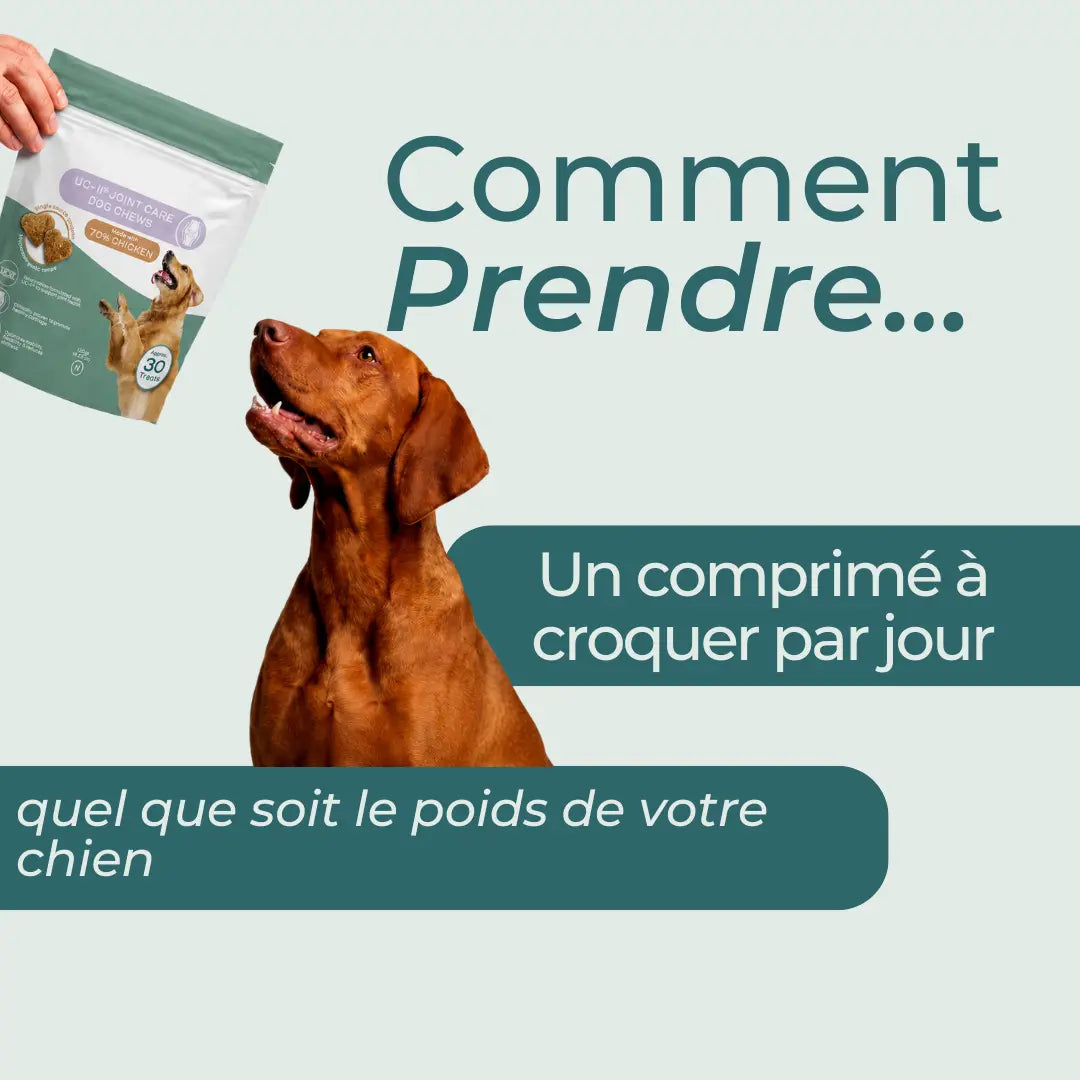 Friandises UC-II® pour les articulations des chiens