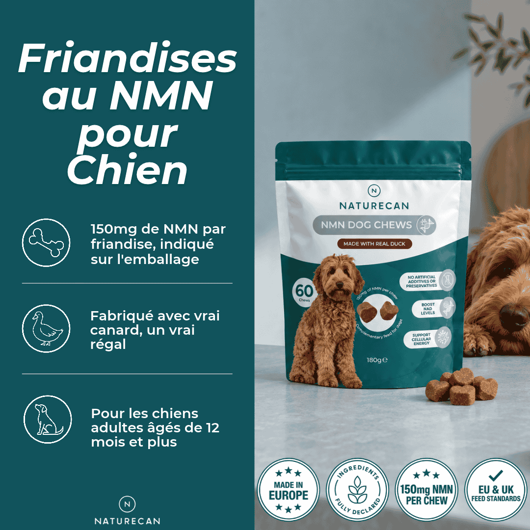 Friandises au NMN pour Chien