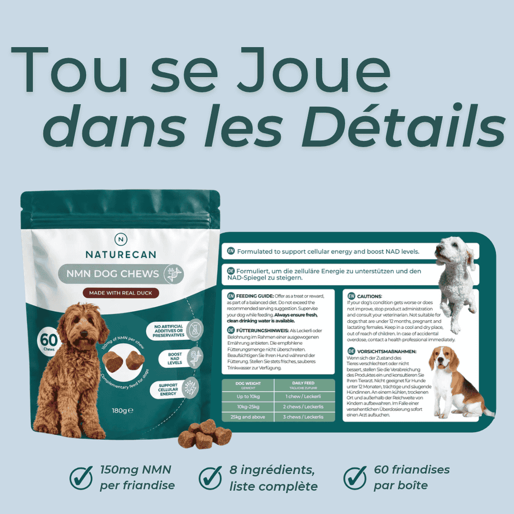Friandises au NMN pour Chien