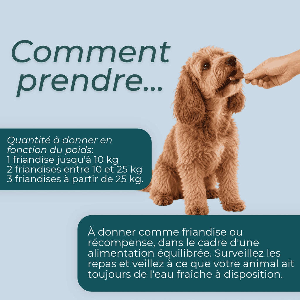 Friandises au NMN pour Chien